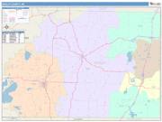 Ashley <br /> Wall Map <br /> Color Cast Style 2025 Map