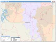 Carroll <br /> Wall Map <br /> Color Cast Style 2025 Map