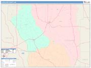 Cleveland <br /> Wall Map <br /> Color Cast Style 2025 Map