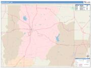 Drew <br /> Wall Map <br /> Color Cast Style 2025 Map