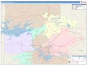 Garland <br /> Wall Map <br /> Color Cast Style 2025 Map