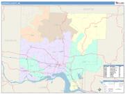 Johnson <br /> Wall Map <br /> Color Cast Style 2025 Map
