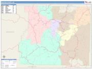 Newton <br /> Wall Map <br /> Color Cast Style 2025 Map