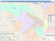 Saline <br /> Wall Map <br /> Color Cast Style 2025 Map