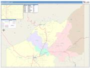 Delta <br /> Wall Map <br /> Color Cast Style 2025 Map