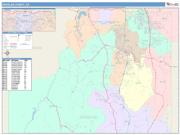 Douglas <br /> Wall Map <br /> Color Cast Style 2025 Map