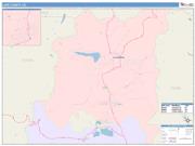 Lake <br /> Wall Map <br /> Color Cast Style 2025 Map
