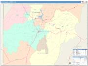 Montezuma <br /> Wall Map <br /> Color Cast Style 2025 Map