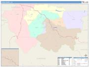 Pitkin <br /> Wall Map <br /> Color Cast Style 2025 Map