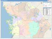 Citrus <br /> Wall Map <br /> Color Cast Style 2025 Map