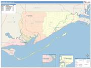 Franklin <br /> Wall Map <br /> Color Cast Style 2025 Map