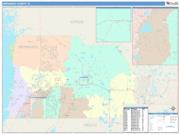 Hernando <br /> Wall Map <br /> Color Cast Style 2025 Map