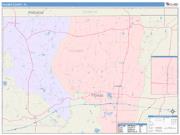 Holmes <br /> Wall Map <br /> Color Cast Style 2025 Map