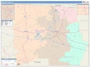 Madison <br /> Wall Map <br /> Color Cast Style 2025 Map