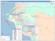 Manatee <br /> Wall Map <br /> Color Cast Style 2025 Map