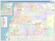 Pasco <br /> Wall Map <br /> Color Cast Style 2025 Map