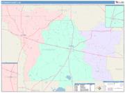 Atkinson <br /> Wall Map <br /> Color Cast Style 2025 Map