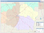 Colquitt <br /> Wall Map <br /> Color Cast Style 2025 Map