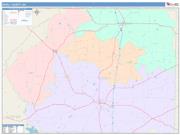 Dooly <br /> Wall Map <br /> Color Cast Style 2025 Map