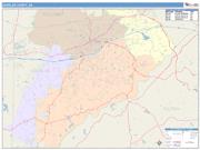 Douglas <br /> Wall Map <br /> Color Cast Style 2025 Map