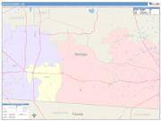 Echols <br /> Wall Map <br /> Color Cast Style 2025 Map