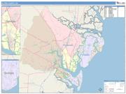 Glynn <br /> Wall Map <br /> Color Cast Style 2025 Map