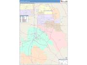 Houston <br /> Wall Map <br /> Color Cast Style 2025 Map