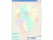 Laurens <br /> Wall Map <br /> Color Cast Style 2025 Map