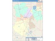 Lowndes <br /> Wall Map <br /> Color Cast Style 2025 Map