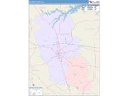 McDuffie <br /> Wall Map <br /> Color Cast Style 2025 Map