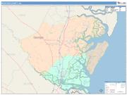 McIntosh <br /> Wall Map <br /> Color Cast Style 2025 Map