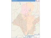 Newton <br /> Wall Map <br /> Color Cast Style 2025 Map