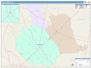 Pierce <br /> Wall Map <br /> Color Cast Style 2025 Map