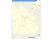 Pulaski <br /> Wall Map <br /> Color Cast Style 2025 Map