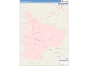 Taliaferro <br /> Wall Map <br /> Color Cast Style 2025 Map