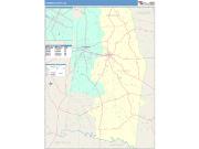 Toombs <br /> Wall Map <br /> Color Cast Style 2025 Map
