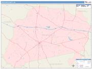 Treutlen <br /> Wall Map <br /> Color Cast Style 2025 Map