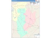 Twiggs <br /> Wall Map <br /> Color Cast Style 2025 Map