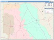 Wilcox <br /> Wall Map <br /> Color Cast Style 2025 Map