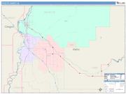 Payette <br /> Wall Map <br /> Color Cast Style 2025 Map