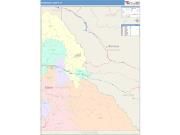 Shoshone <br /> Wall Map <br /> Color Cast Style 2025 Map