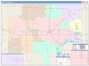 Bureau <br /> Wall Map <br /> Color Cast Style 2025 Map