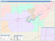 De Witt <br /> Wall Map <br /> Color Cast Style 2025 Map