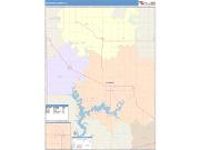 Moultrie <br /> Wall Map <br /> Color Cast Style 2025 Map