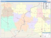 Ogle <br /> Wall Map <br /> Color Cast Style 2025 Map