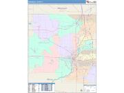 Winnebago <br /> Wall Map <br /> Color Cast Style 2025 Map