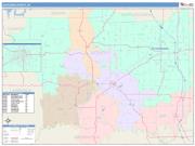Jackson <br /> Wall Map <br /> Color Cast Style 2025 Map