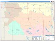 Lagrange <br /> Wall Map <br /> Color Cast Style 2025 Map