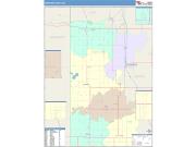 Newton <br /> Wall Map <br /> Color Cast Style 2025 Map