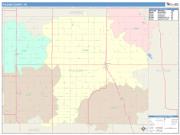 Pulaski <br /> Wall Map <br /> Color Cast Style 2025 Map